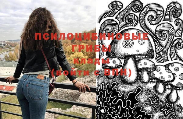 твердый Армянск