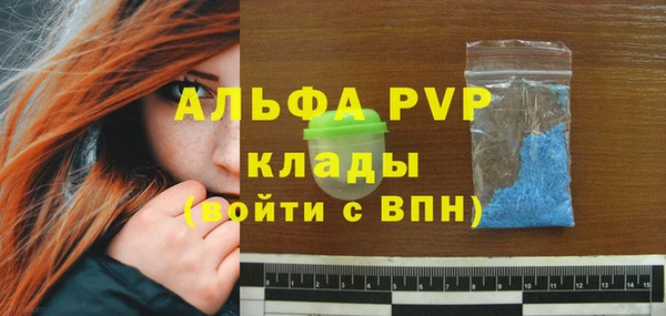 PSILOCYBIN Покачи