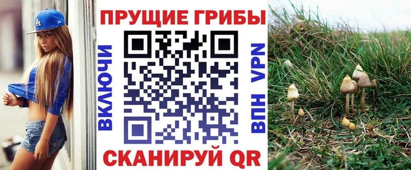 купить закладку  Котельниково  ссылка на мегу ССЫЛКА  Псилоцибиновые грибы мухоморы 